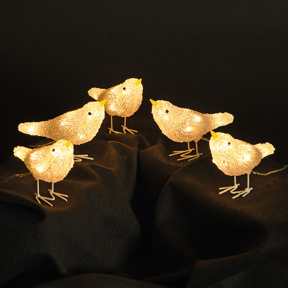 5 Acrylic Bird Lights with 40 Warm White LEDs