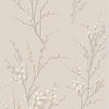 Elegant Pussy Willow Dove Grey wallpaper