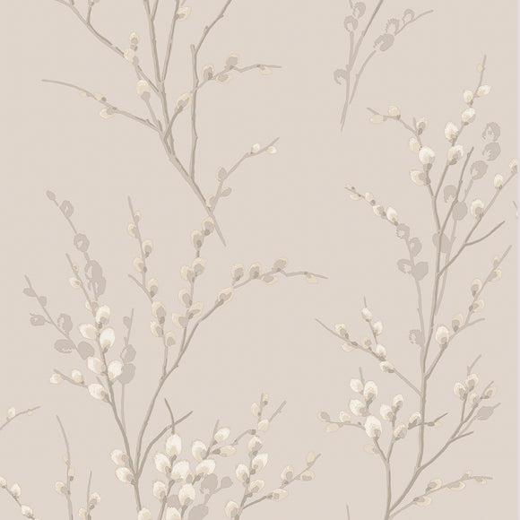 Elegant Pussy Willow Dove Grey wallpaper