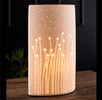 Elevate your decor with the Belleek Living Meadow Luminaire. A fusion of Irish craftsmanship and elegant illumination.