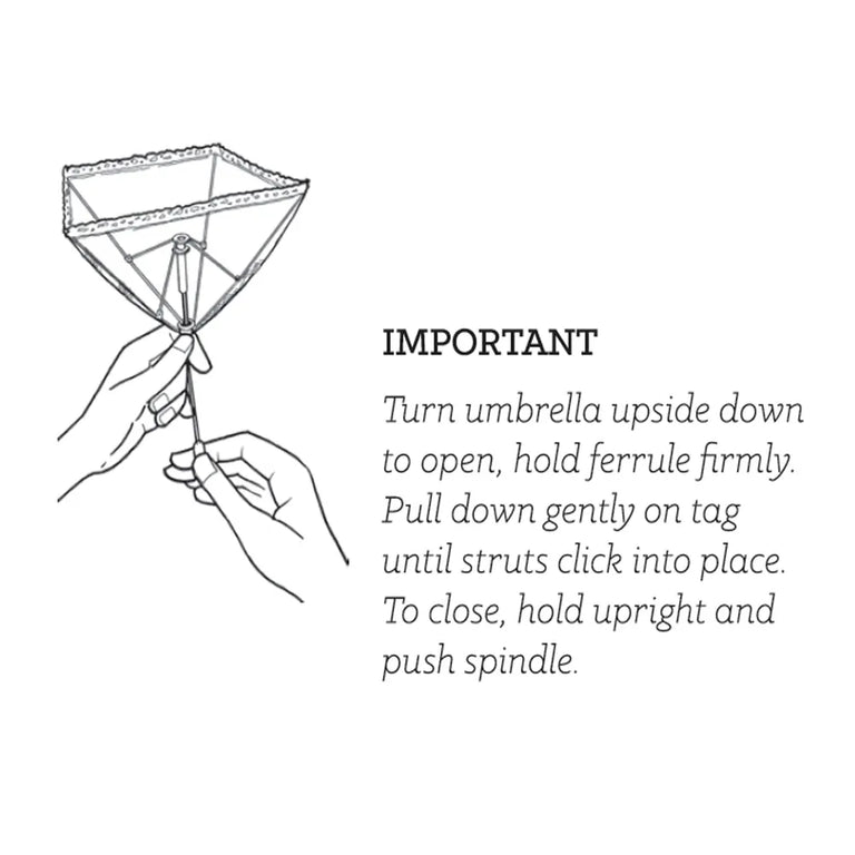 Eddington Epicurean Small Food Umbrella