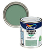 Dulux Weathershield Exterior Satinwood Lush Fern: A vibrant and lush green shade for enduring outdoor elegance.