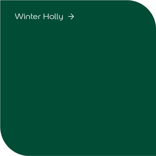 Dulux High Gloss Winter Holly