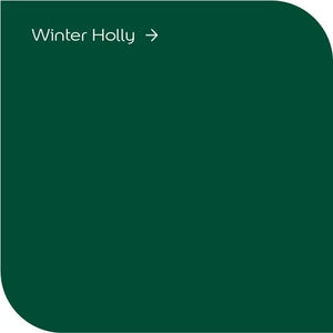 Dulux High Gloss Winter Holly Paint