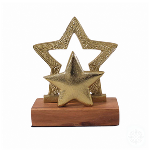 Elevate your holiday decor with the Festive Star Decoration in a radiant gold color. Add a touch of elegance and festivity to your space with this charming and decorative star ornament.