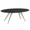 Eclipse Extendable Dining Table Oval