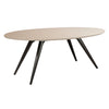 Eclipse Extendable Dining Table Oval