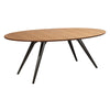 Eclipse Extendable Dining Table Oval