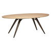 Eclipse Extendable Dining Table Oval