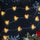 addon image
