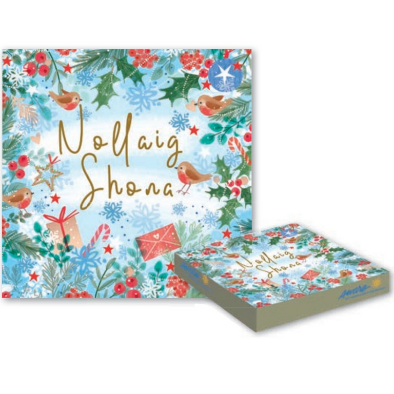 Nollaig Shona – Box of 10 Charity Cards– Aware – Robins and Holly
