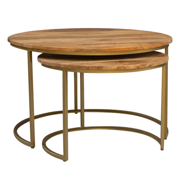 Tiya Nest of 2 Coffee Tables Natural picture on the white background