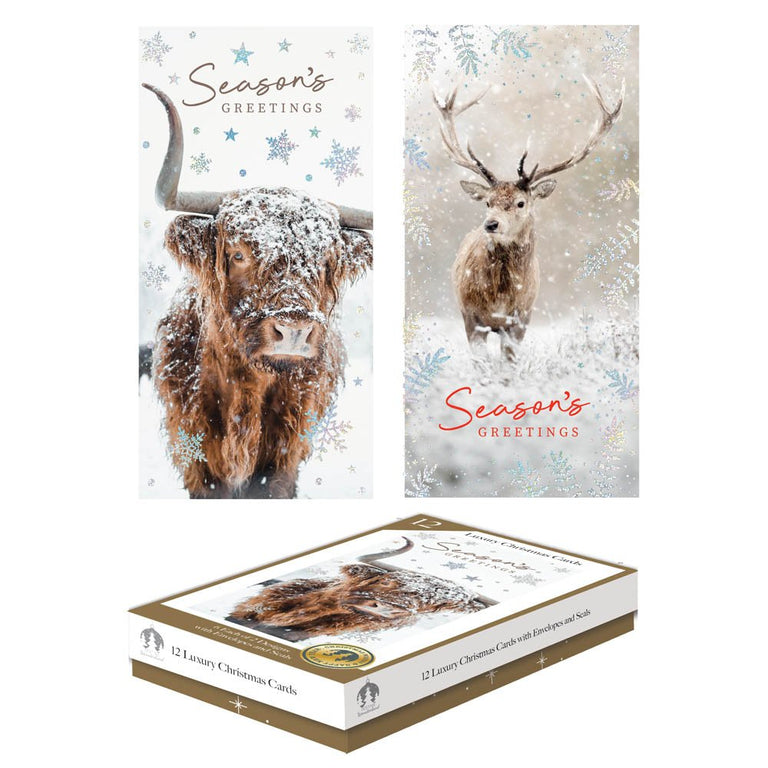 12 Highland Cow and Stag Christmas Cards