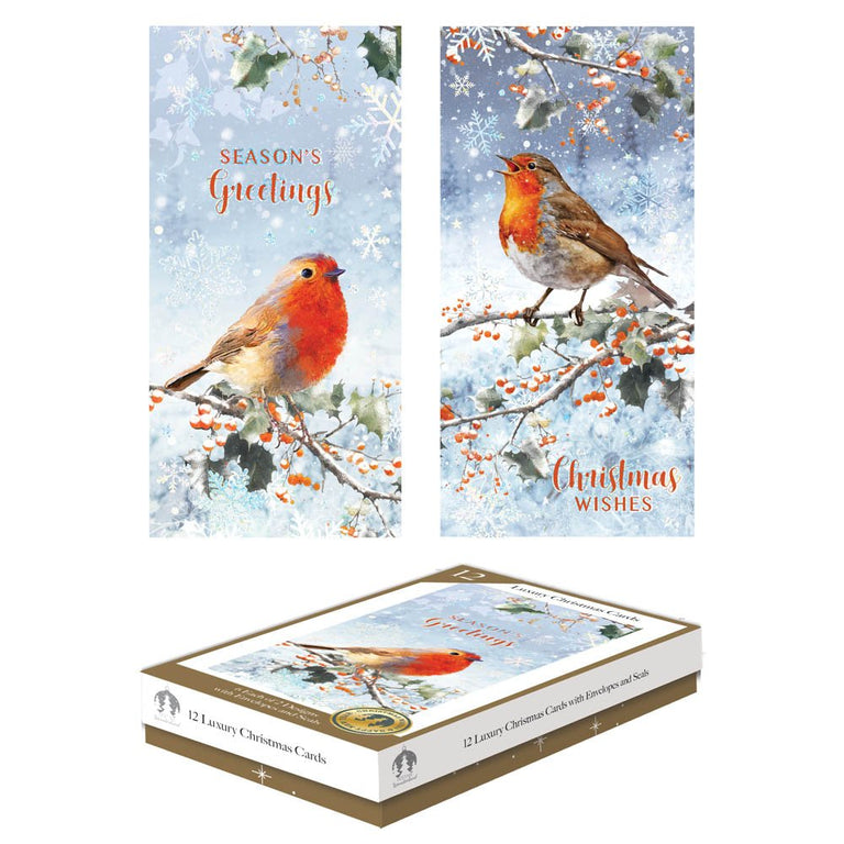 12 Robin Christmas Cards Slim Box