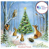 Down Syndrome Ireland 20 Christmas Cards Box - Woodland Friends front view picture of the box