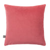 Premium velvet cushion with feather fillers.