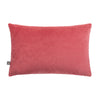 Scatterbox cushion featuring premium velvet fabric in raspberry.