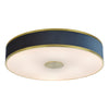 Alvaro 6 Light Flush Brass/Blue Shade picture with switched on light