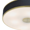 Alvaro 6 Light Flush Brass/Blue Shade close view picture of the light design