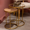 Andrea Nest of 2 Side Tables life style picture