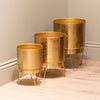 Anisha Set of 3 Planters With Stand Gold available in 3 different sizes