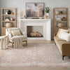 Nourison Antique Fusion Rug ANF03 Brick lifestyle picture in the living room