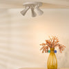 Arnel 3 Light Plate Spotlight Satin Taupe life style picture