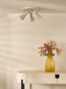 Arnel 3 Light Plate Spotlight Satin Taupe perfect for hallways and dining rooms