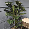 Artificial Monstera 150cm close-up view of the plastic leaves