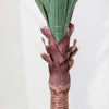 Artificial Yucca Tree 120cm picture of the brown body