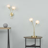 Avari 2 Light Table Lamp Satin Brass life style picture
