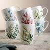 Aynsley Atlantic Set of 6 Mugs on a rustic table