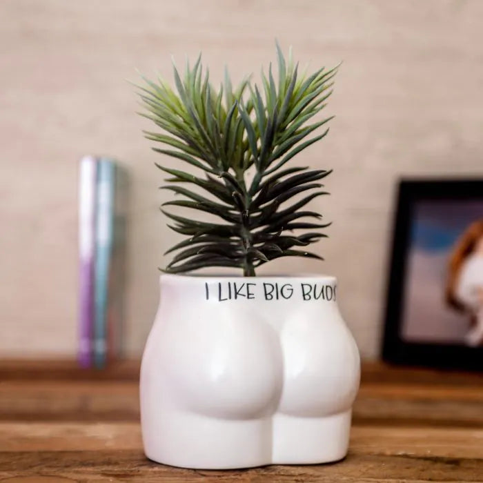 Ceramic Planter - I Like Big Buds