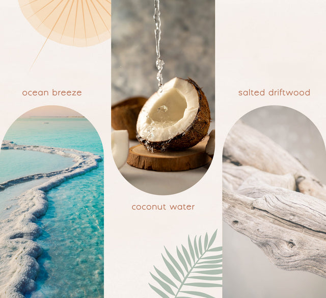 Blissful Oasis Soy Wax Melt 26 g