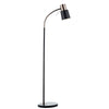 Bond Floor Lamp Black and Copper picture on the white background