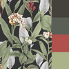 Graham & Brown Botanical Black Wallpaper picture with paint colors that will perfect fit to this wallpaper