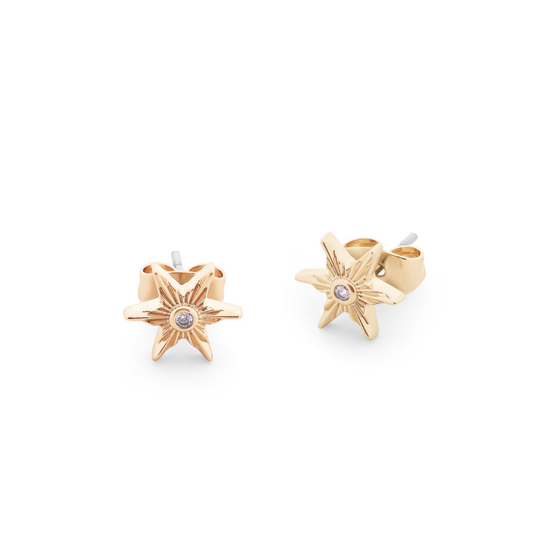 Tipperary Crystal Compass Star Stud Earrings Gold