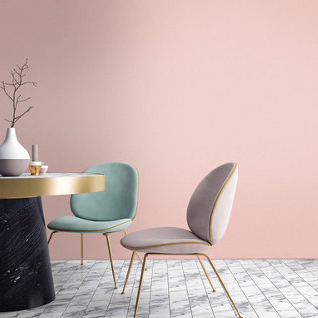 Graham & Brown August Pink Paint – Soft Pastel Wall Paint for Interiors