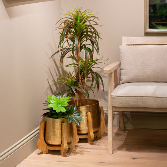 Chandra Set of 2 Planters With Mango Stand Gold life style picture