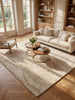Concept Looms Dune Rug DU147 Beige top view lifestyle picture in the living room