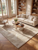 Concept Looms Dune Rug DU155 Beige top-view lifestyle picture in the living room