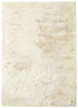 Concept Looms Heavenly Rug HEA101 Shell picture of the rug shaggy design