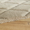 Concept Looms Priory PRI103 Taupe Rug picture of the rug border