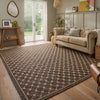 Concept Looms Sumac Rug SUM105 Brown lifestyle picture in the living room