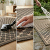 Concept Looms Sumac Rug SUM105 Brown easy-to-clean