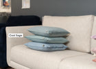Cushion F+H Velvet Plain Cool Sage 45x45cm life style picture with othe color cushions