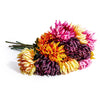 Daisy Ball Artificial Flower Stem Assorted Colours