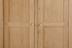 Delaney 2 Door Wardrobe Oak close view picture of the wardrobes design