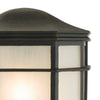 Dulbecco Outdoor Wall Light Black close view picture of the black frame