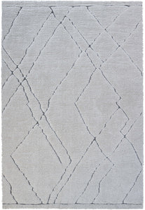 This exquisite rug adds a touch of style and sophistication to your home decor.